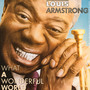 What A Wonderful World - Louis Armstrong