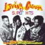 Super Hits - Living Colour
