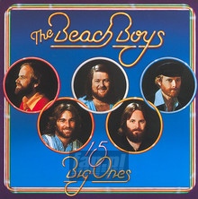 15 Gig Ones/Love You - The Beach Boys 