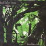 Birdbrain - Tom Buffalo
