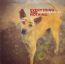 Everything & Nothing - David Sylvian