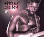 911 - Wyclef Jean / Mary J. Blige