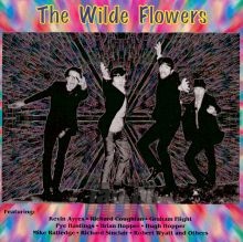 The Wilde Flowers - Wilde Flowers