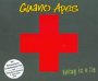 Living In A Lie - Guano Apes