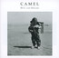 Dust & Dreams - Camel