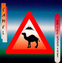 Camel On The Road 1981 - Camel