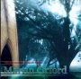 Classical Music & Popular Song - Martin Orford