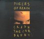 Crash The Car Daddy - Pieces Of Brain