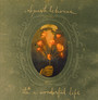 It's A Wonderful Life - Sparklehorse