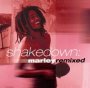 Shakedown - Marley Remixes - Tribute to Bob Marley