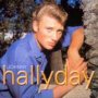 New Coctail Collection - Johnny Hallyday