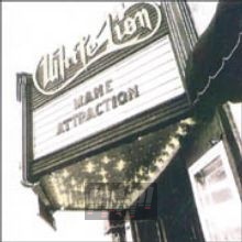 Mane Attraction - White Lion