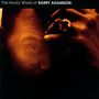 Murky World Of Barry Adamson - Barry Adamson