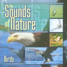 Dźwięki Natury-Ptaki - Nature Sounds & Relax Dźwięki Natury-Ptaki - Nature Sounds & Relax
