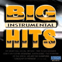 Big Hits Instrumental Acoustic Sound Ins - V/A