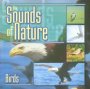 Dwiki Natury-Ptaki - Nature Sounds & Relax   