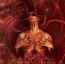 Diabolis Interium - Dark Funeral