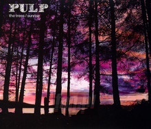 The Trees Sunrise - Pulp