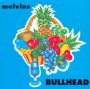 Bullhead - Melvins