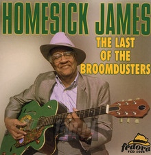 The Last Of The Broomdusters - James Homesick