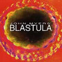 Blastula - Blastula