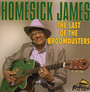 The Last Of The Broomdusters - James Homesick