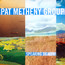 Speaking Of Now - Pat Metheny