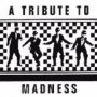 A Tribute To Madness - Tribute to Madness