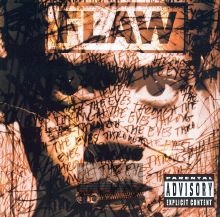 Through The Eyes - Flaw