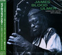 Harmolodic Guitar With Strings - James Blood Ulmer 