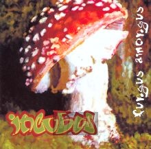 Fungus Amongus - Incubus