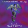 Another Hair Of The Dog - Tribute to Nazareth To