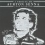 Tribute To Ayrton Senna - Tribute to Ayrton Senna
