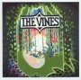 Highly Eloved - The Vines
