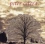 Another Perfect World - Peter Cetera