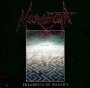 Fragments Of Insanity - Necrodeath