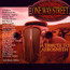 Tribute To Aerosmith /Mascot - Tribute to Aerosmith Tribute To Aerosmith /Mascot - Tribute to Aerosmith