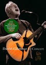 David Gilmour In Concert - David Gilmour