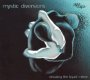 Crossing The Liquid Mirror - Mystic Diversions