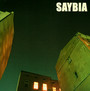 The Second You Sleep - Saybia