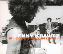 If I Could Fall In Love - Lenny Kravitz