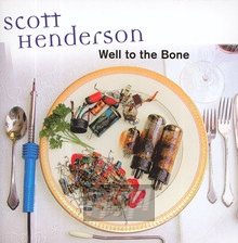 Well To The Bone - Scot Henderson / Gary Willis - bigger Well To The Bone - Scot Henderson / Gary Willis