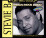 Mega Mixx 2000 - Stevie B.