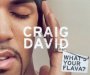 What's Your Flava? 3 - Craig David