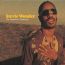 Definitive Collection - Stevie Wonder