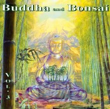 Buddha & Bonsai 3 - Oliver Shanti  & Friends