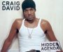 Hidden Agenda - Craig David