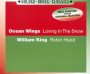 Loving In The Snow/Robin Hood - Ocean Wings  / William  King 