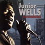 Best Of Vanguard Years - Junior Wells