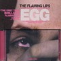 The Day They Shot A Hole In The Jesus Egg - The Flaming Lips 